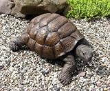 XXL SCHILDKRÖTE HAUS & GARTEN DEKO FIGUR WETTERFEST - INKL. MEMO SCHILDER