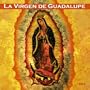 LA Virgen De Guadalupe 2004 Calendar (French Edition)