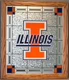 Illinois Fighting Illini NCAA 15.5 X 18 Glass Wall Plaque
