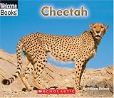 Cheetah (Welcome Books)