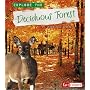 Explore the Deciduous Forest (Explore the Biomes Series)