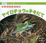 ヤイロチョウの子そだて―四万十川流域に飛来する森の妖精 (がんばれ野生のいのちシリーズ (1))
