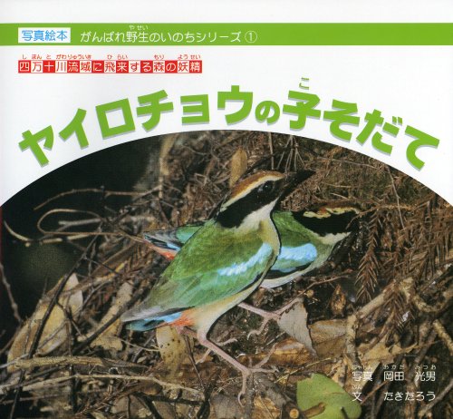 Cover image : ヤイロチョウの子そだて―四万十川流域に飛来する森の妖精 (がんばれ野生のいのちシリーズ (1))