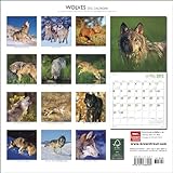 Wolves 2012 Calendar (Oneworld)-