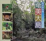 水が育む島 奄美大島