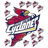 Iowa State Cyclones Assorted Stik-Ables