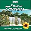 Rainforest Dreams-Stimmungsvolle Naturger�usche mit Entspannungsmusik