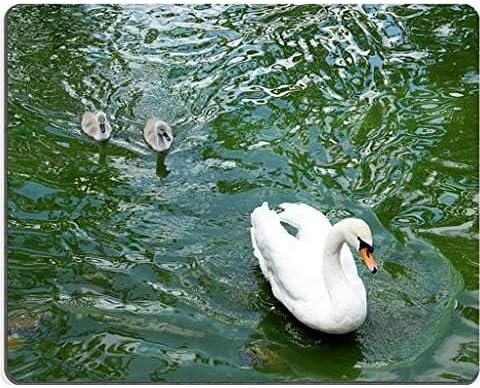 swam family over green water outdoor swimming mouse pad