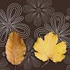 Art poster autumn leaves in size: 50 x 50 cm by K. Strassek