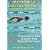 Becoming A Faster Swimmer: Freestyle Swimming