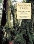 Ancient Trees: Trees That Live For 1,000 Years