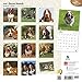 Basset Hounds 2016 Calendar