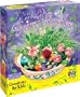 Enchanted Fairy Garden Kit