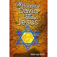 A House of David in the Land of Jesus by  Robert Lewis Berman