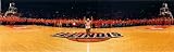 NCAA Illinois Fighting Illini The Chief Assembly Hall Stadium