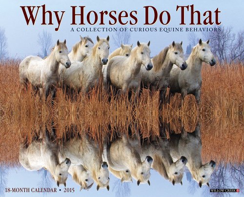Why Horses Do That 2015 Wall Calendar
