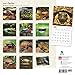 Turtles - 2016 Calendar 12 x 12in