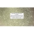 Yerba Mate in Bulk from Argentina 1 lb bag Best Prices