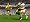 Rugby 08 (PS2)