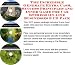Book The Quick and Easy How To Earn Extra Money, Marketing and Inner Game for Car Stereos Businesses 3 CD Power Pack