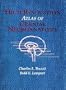 High Resolution Atlas of Cranial Neuroanatomy