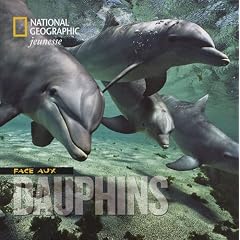 Face aux dauphins