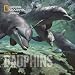 Face aux dauphins