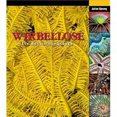 Wirbellose: Ein Bestimmungsbuch