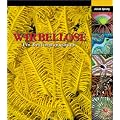 Wirbellose: Ein Bestimmungsbuch