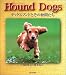 Hound Dogs�\�_�b�N�X�t���h�Ƃ��̒��Ԃ���