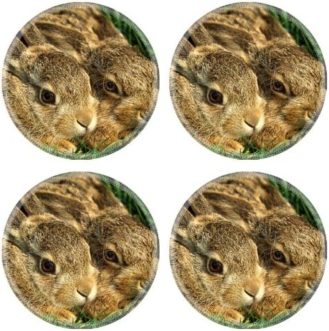 Rabbits Couple Grass Funk Hiding Round Coaster (4 Piece) Set Fabric Rubber 5 Inch Size Liil Coaster Cup Mug Can Water Bottle Drink Coasters Stain Resistance Collector Kit Kitchen Table Top Desk
