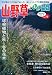山野草とミニ盆栽 2009年 11月号 [雑誌]