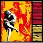 Use Your Illusion I [Explicit]