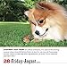 365 Dogs 2015 Calendar
