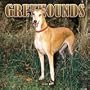 Greyhounds Wall