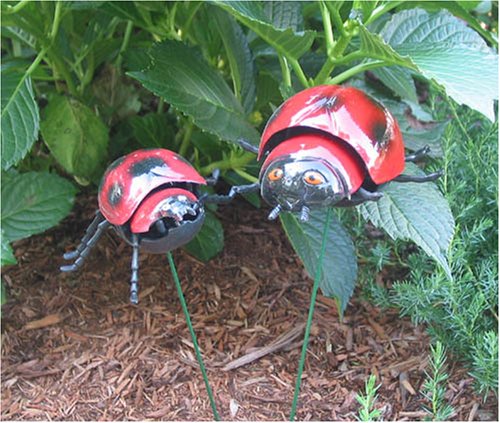 Lady Bugs with Spring Legs (Set of 2)