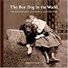 The Best Dog in the World: Vintage Portraits of Children and Their Dogs