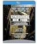 Synecdoche, New York [Blu-ray]