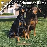 \"Dobermann