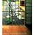 Cr�ateurs du Japon