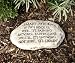 Smart Rock Stone