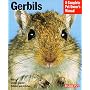 Gerbils (Complete Pet Owner's Manual)