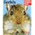 Gerbils (Complete Pet Owner's Manual)