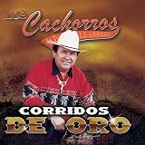 Search : Corridos de Oro