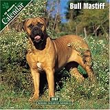 Bull Mastiff 2007 Wall Calendar