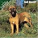 Bull Mastiff 2007 Wall Calendar