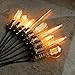 ANYQOO Edison Light Bulb Squirrel cage Filament Bulb Antique Lighting base (E26/E27) 40W