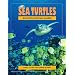 Sea Turtles: An Ecological Guide