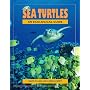 Sea Turtles: An Ecological Guide