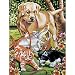 Junior Paint By Number Set Dogs & Kittens